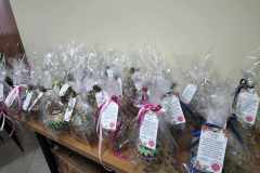 409990283_895723008754466_9006760295040691068_n