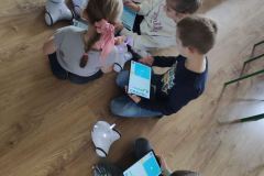 IMG_20240425_125456-Copy