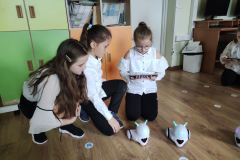 IMG_20240426_110143-Copy