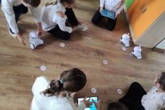 IMG_20240426_110532-Copy