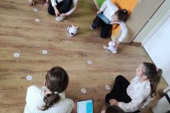 IMG_20240426_110542-Copy