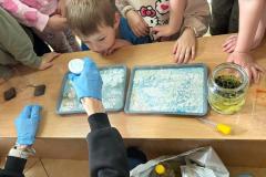 IMG-20260506-WA0100