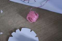 IMG_20251219_090323-Copy