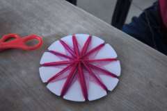 IMG_20251219_091100-Copy