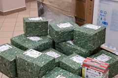 406549343_1089959128690657_7400335245851686046_n