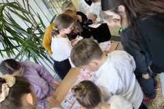 490700253_859802119670228_8259212366454630344_n