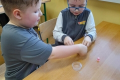 05a301c8-0a74-4b45-91d5-8b07f2af00a9