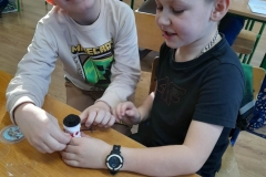 8b9e220a-4b0c-4458-8f3e-ec5ed974f504