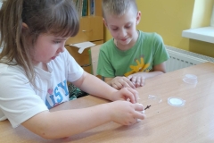 9aa93a02-fd87-40c8-bb14-66402171a672