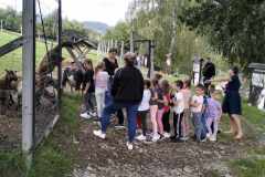 377111833_276445885207666_4962132949224656597_n