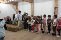 377120918_6576769552402030_386850599643602335_n