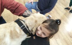 Więcej o: Na czym polega dogoterapia? Zajęcia z psem