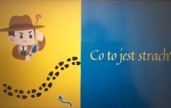 Więcej o: „Oswoić strach” – zajęcia w ramach projektu „Z Kotem Amadeuszem przez świat wartości i emocji”