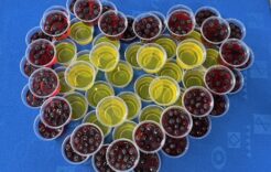 Więcej o: Walentynki